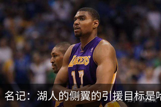 名记：湖人的侧翼的引援目标是哈里斯、格莱姆斯和迪恩·韦德