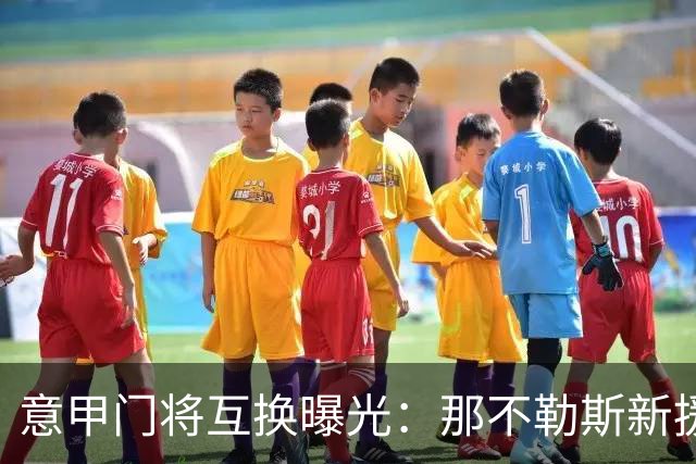 意甲门将互换曝光：那不勒斯新援搅动尤文热刺布局