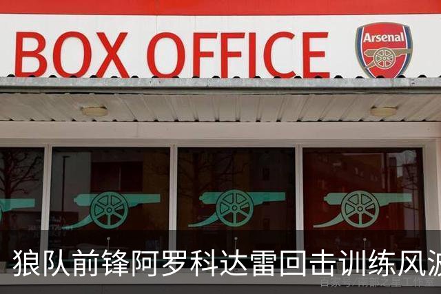 狼队前锋阿罗科达雷回击训练风波，称自己守职业标准