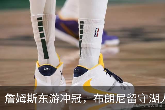 詹姆斯东游冲冠，布朗尼留守湖人，新赛季父子对阵票价要起飞？